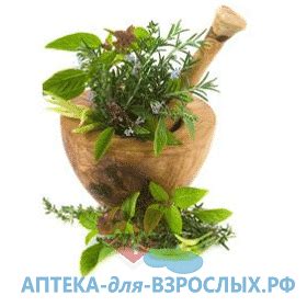 Сибирские растения для потенции